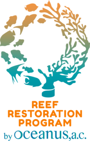 Training Center For Coral Reef Restoration - Oceanus, A.C.