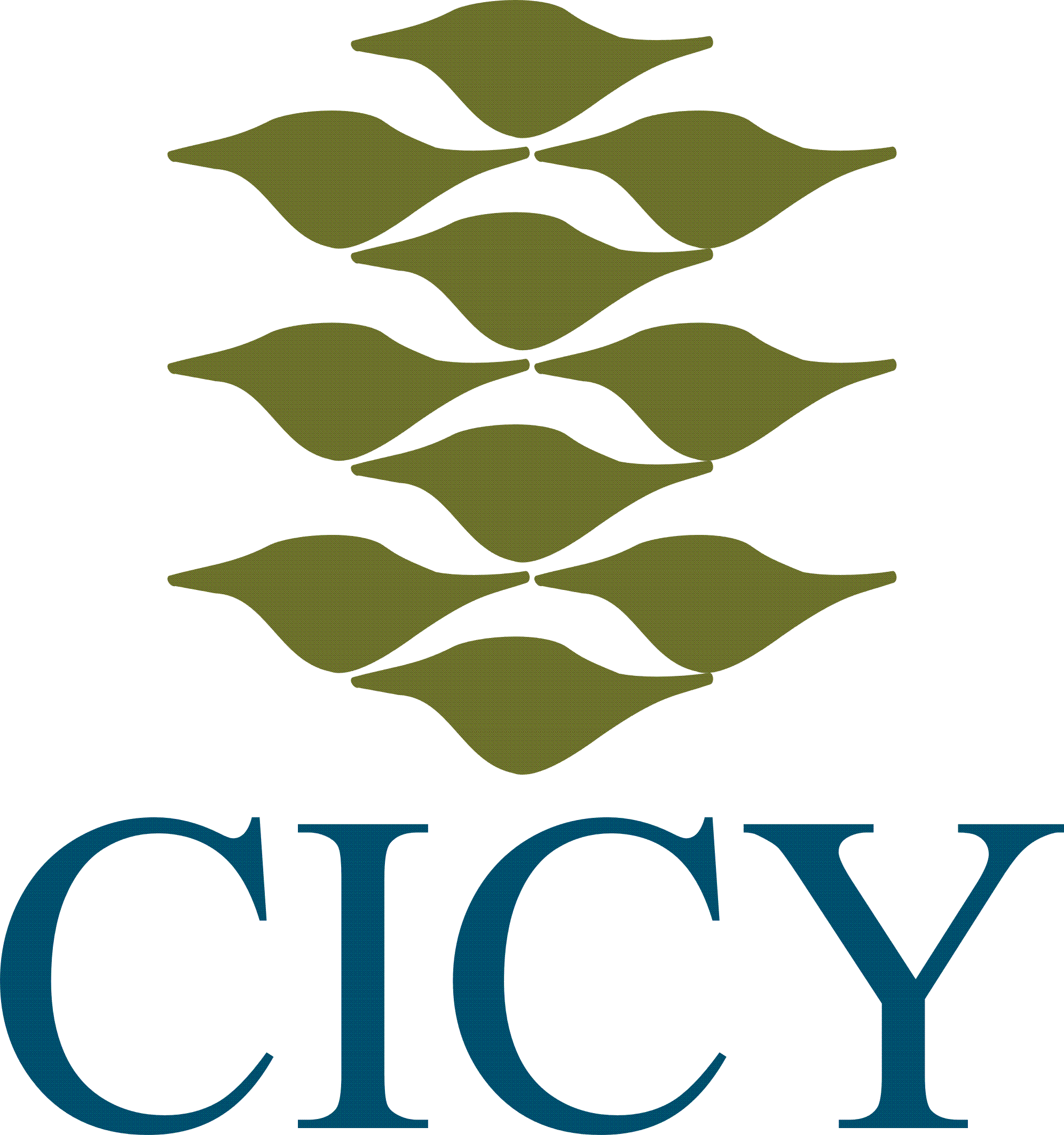 CICY