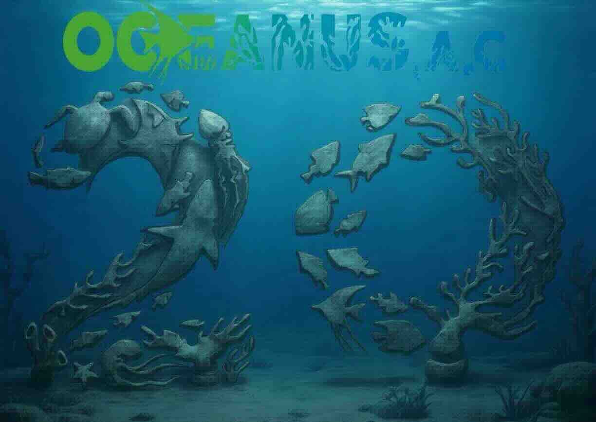 20 años de Oceanus restaurando los océanos de México