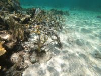 DCIM100GOPROGOPR2820.JPG