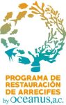 Programa