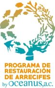 Programa