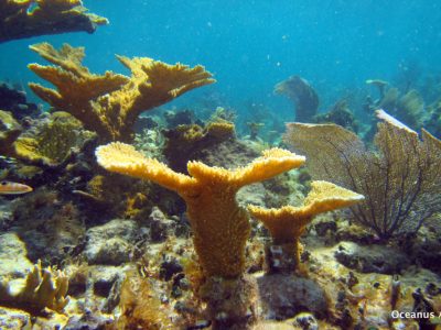 PuertoMorelos-11