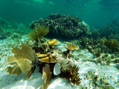 PuertoMorelos-119