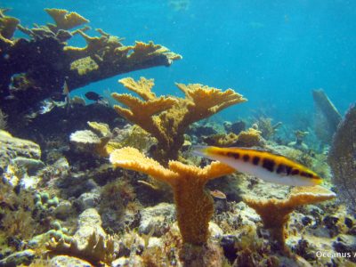 PuertoMorelos-13