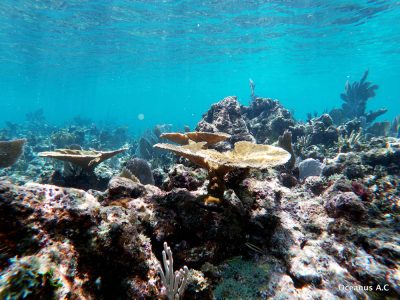 PuertoMorelos-132