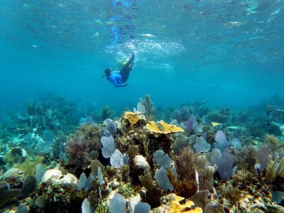 PuertoMorelos-144