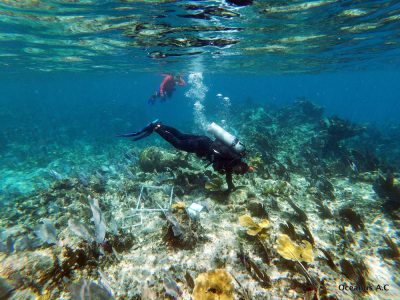PuertoMorelos-147