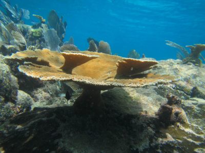 PuertoMorelos-163