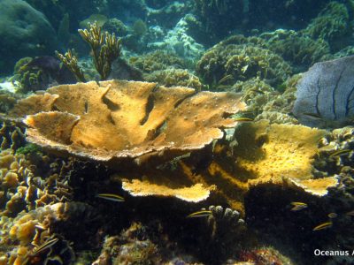 PuertoMorelos-17
