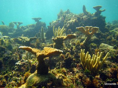 PuertoMorelos-19