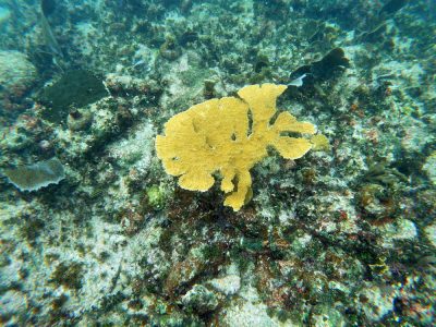 PuertoMorelos-34