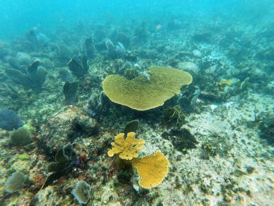 PuertoMorelos-51