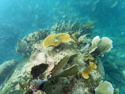 PuertoMorelos-53