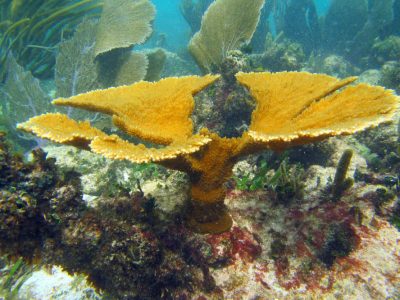 PuertoMorelos-65