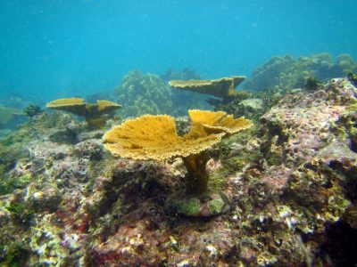 PuertoMorelos-66