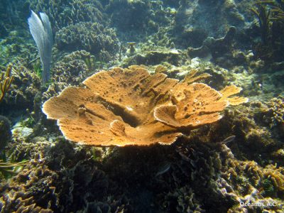 PuertoMorelos-69