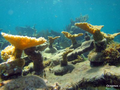PuertoMorelos-7