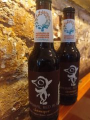 WhatsApp Image 2022-05-12 at 8.16.17 PM