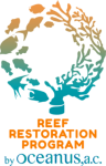 logo-program_-eng-e1498852231839